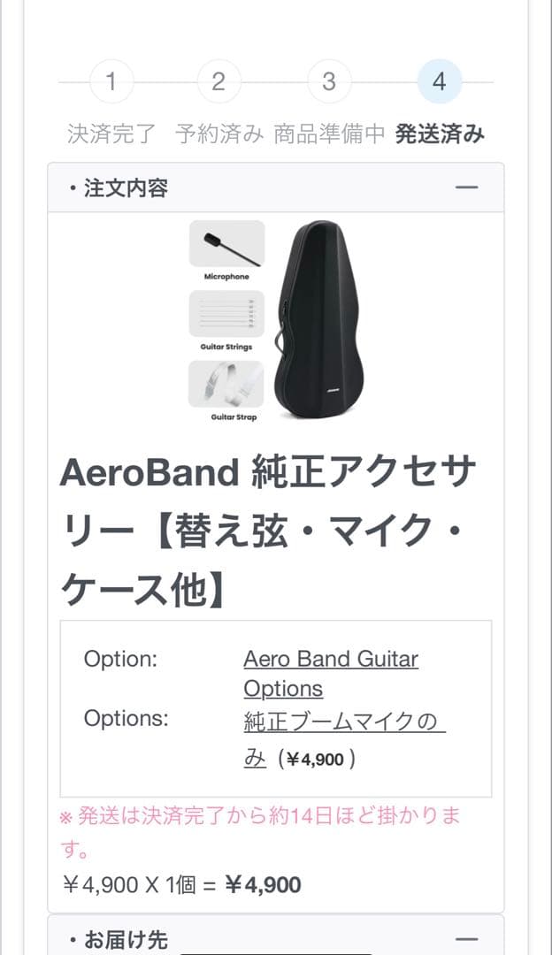 L　Aerobandギター　エアロバンドギター　おまけ付き