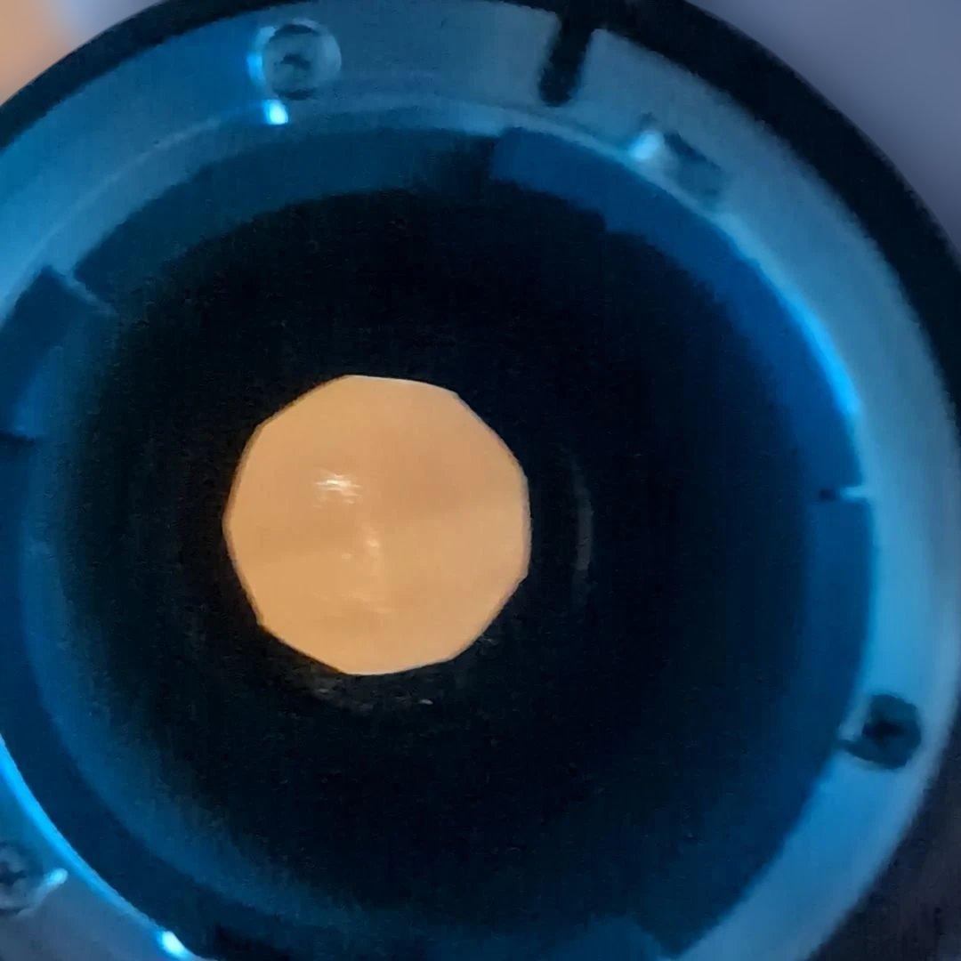 ニコン NIKON AF-S NIKKOR ED 80-200mm F2.8 D