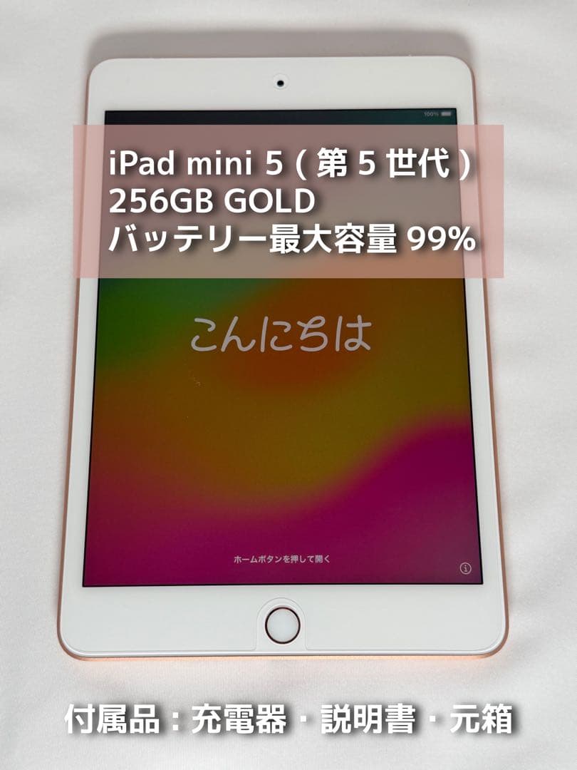 iPad mini5 256GB 美品 Celluar GOLD 第5世代