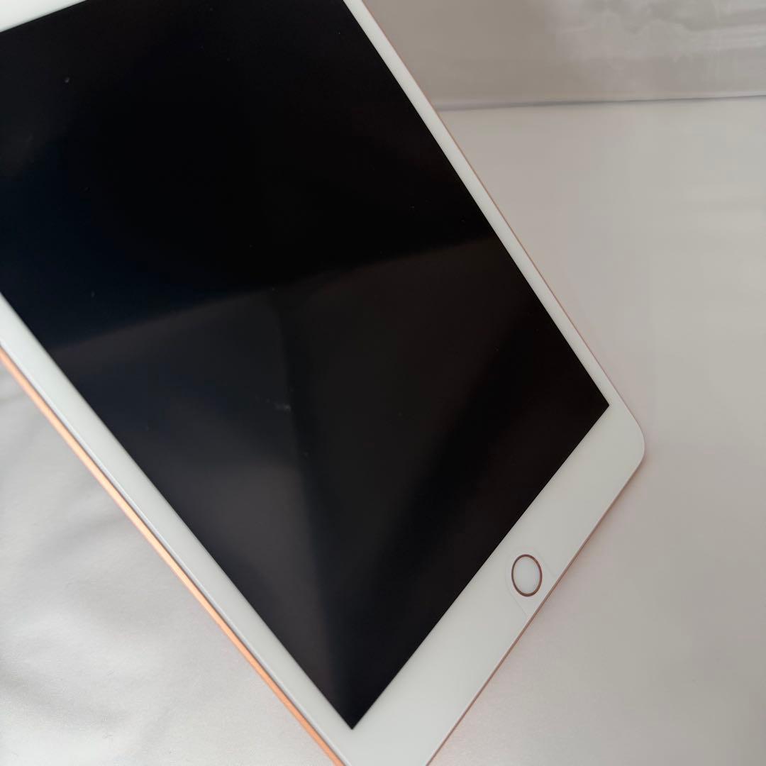 iPad mini5 256GB 美品 Celluar GOLD 第5世代