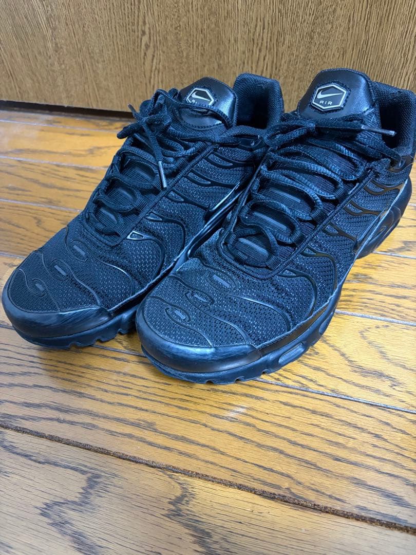 NIKEナイキ AIR MAX PLUS エアマックスプラス　29cm
