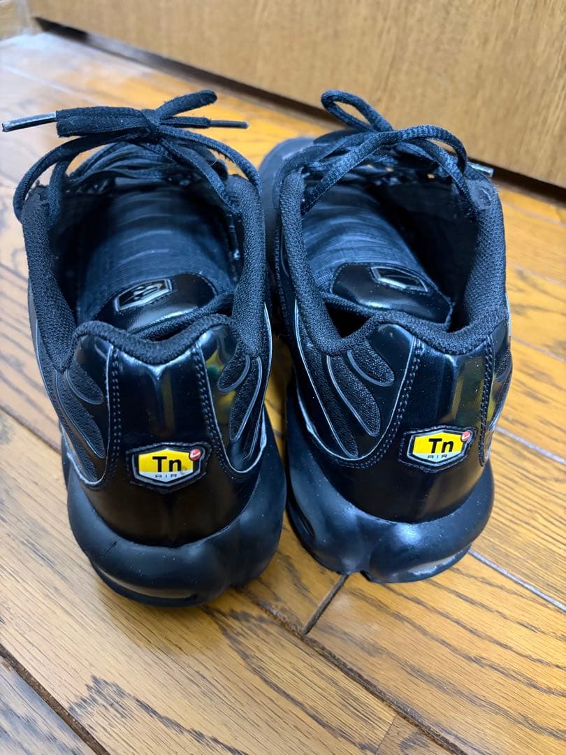 NIKEナイキ AIR MAX PLUS エアマックスプラス　29cm
