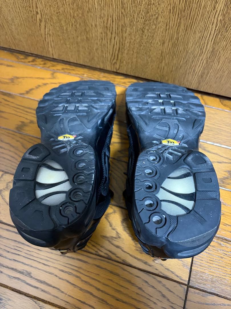 NIKEナイキ AIR MAX PLUS エアマックスプラス　29cm