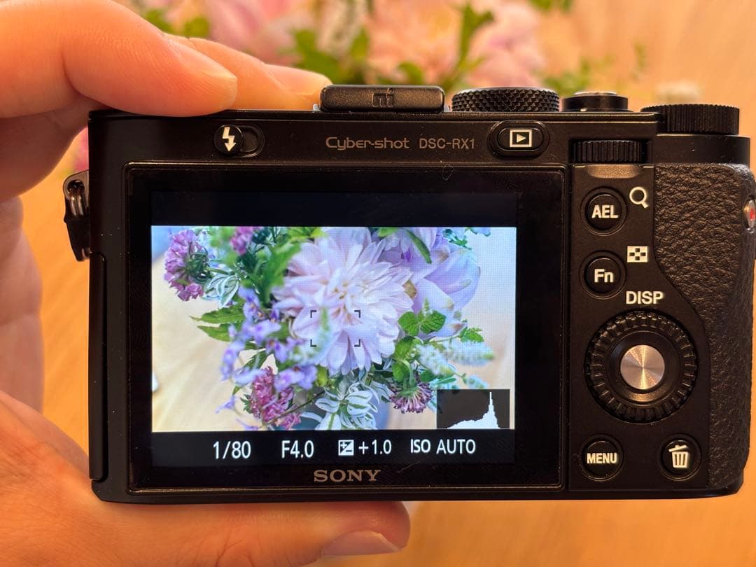 SONY Cyber-shot DSC-RX1 フルサイズ