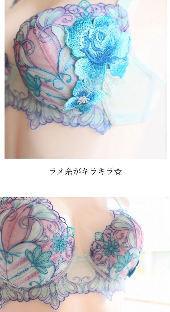 ワコール/サルート 61グループ 新品タグ付 P-upブラTバック E70