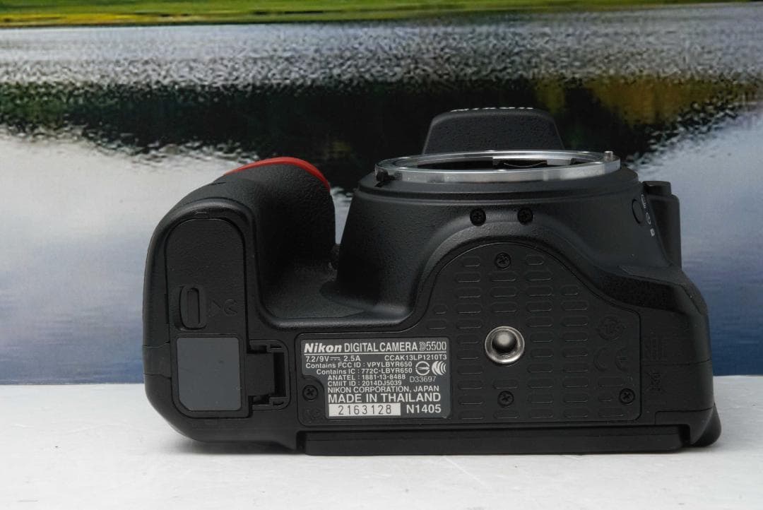 初心者向け　Nikon D5500 高性能 Wi-Fi搭載 届いてすぐ使える