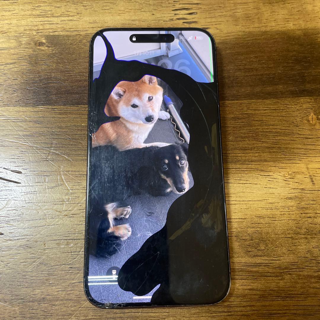 ジャンクiPhone 15ProMax Blue Titanium 鳩