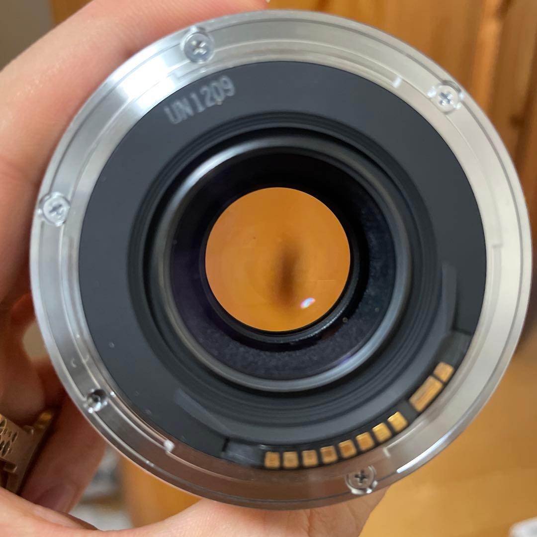 Canon EOS-1N 一眼レフカメラ + EF50mm f2.5 macro