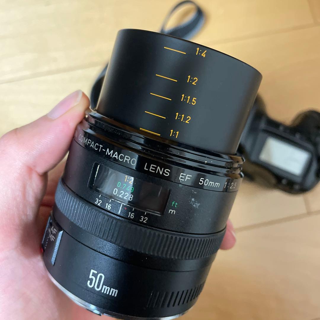 Canon EOS-1N 一眼レフカメラ + EF50mm f2.5 macro