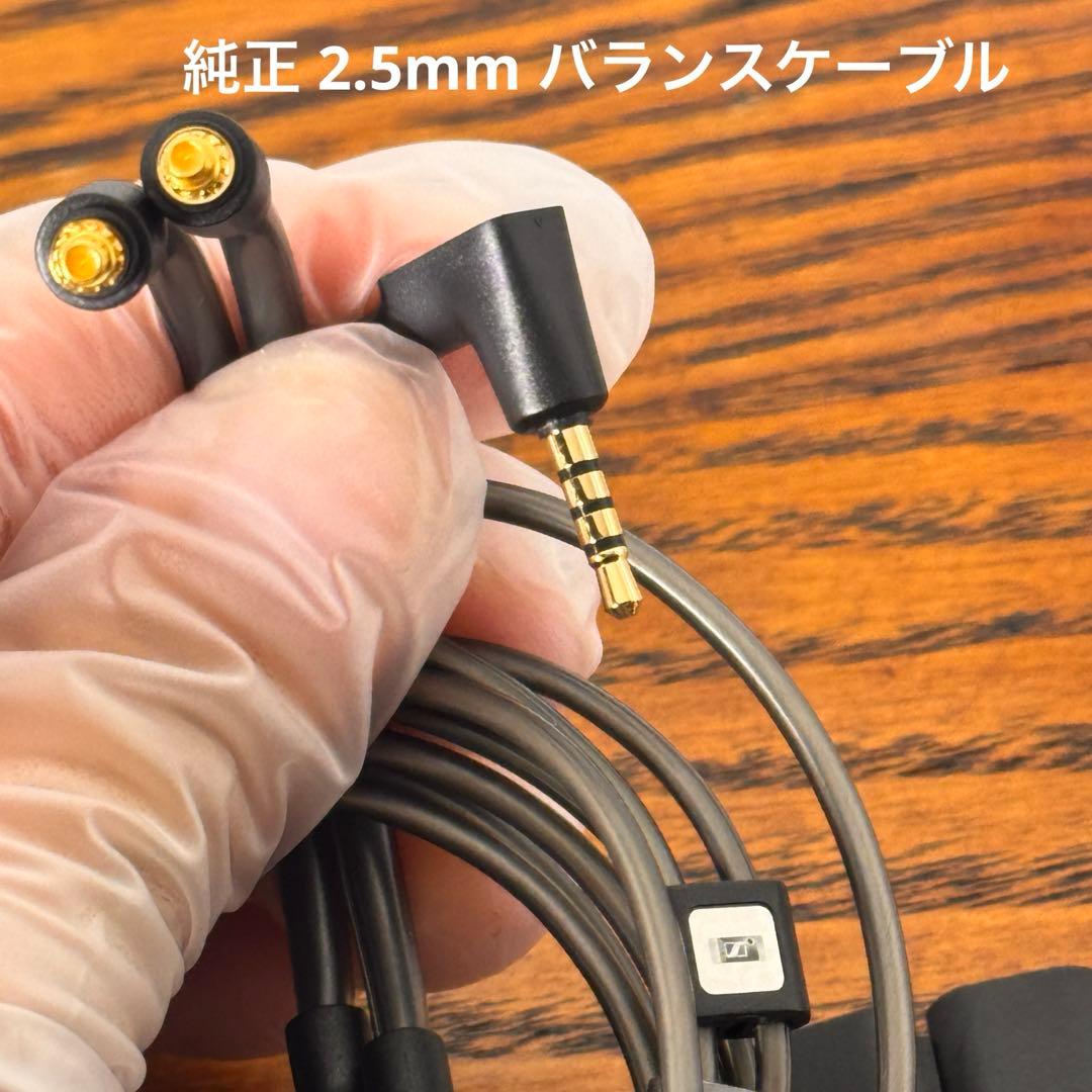 Sennheiser IE900 ゼンハイザー【付属品完備】