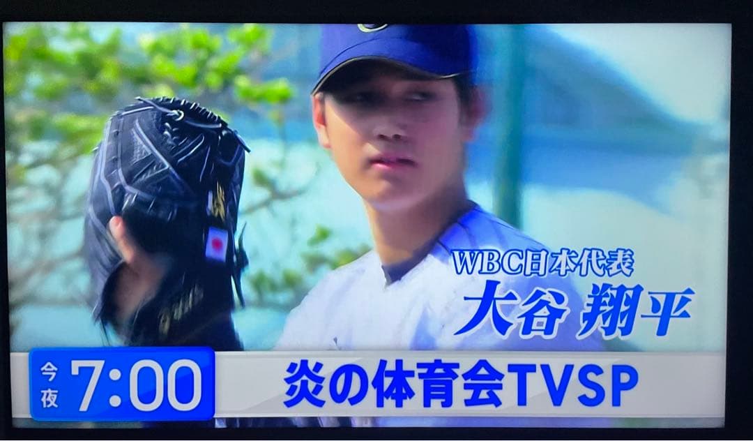 TOSHIBA REGZA 43M540X 4k 43インチ　2021