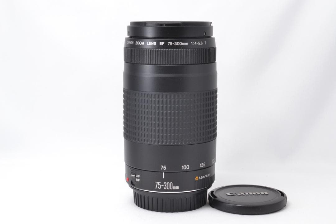 ■ 美品 ■ キャノン Canon EF 75-300mm F4-5.6 Ⅱ