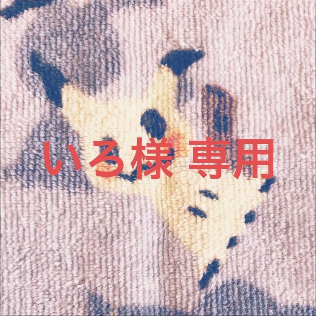 【品名:サプライ】いろ