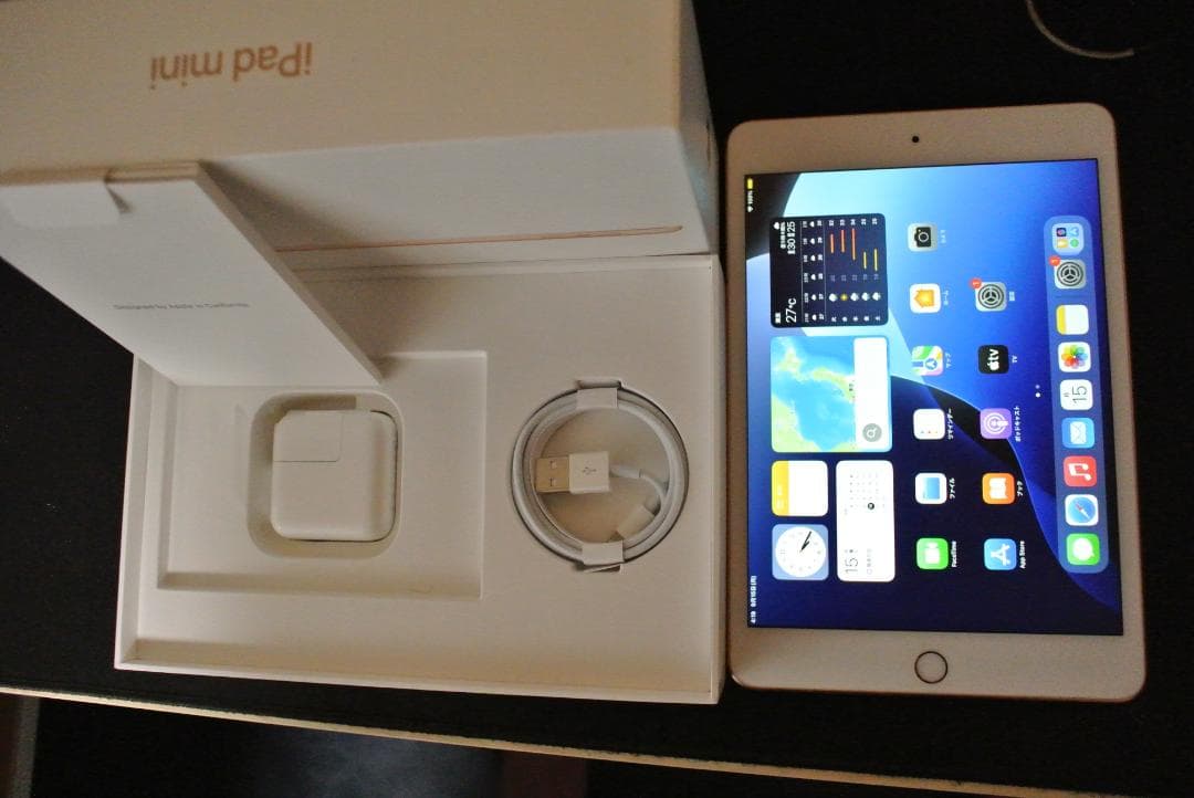 iPad mini 第5世代 Wi-Fi 64GB GOLD 超美品 動作品