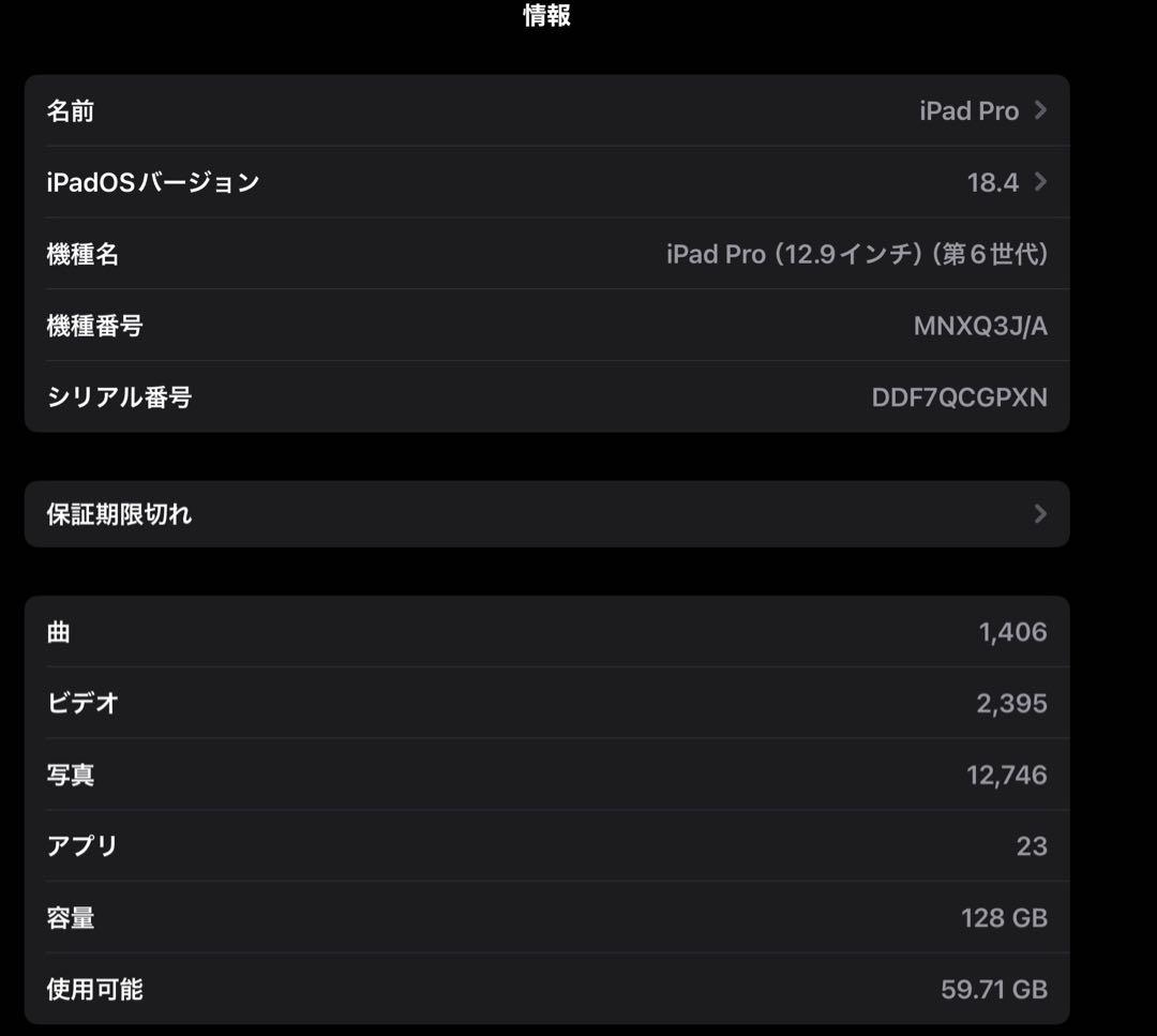 M2 iPad Pro 12.9インチ（第6世代）Wi-Fiモデル 128GB