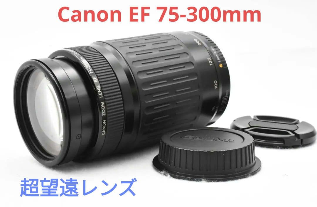8月26日限定販売✨【超望遠レンズ】Canon EF 75-300mm