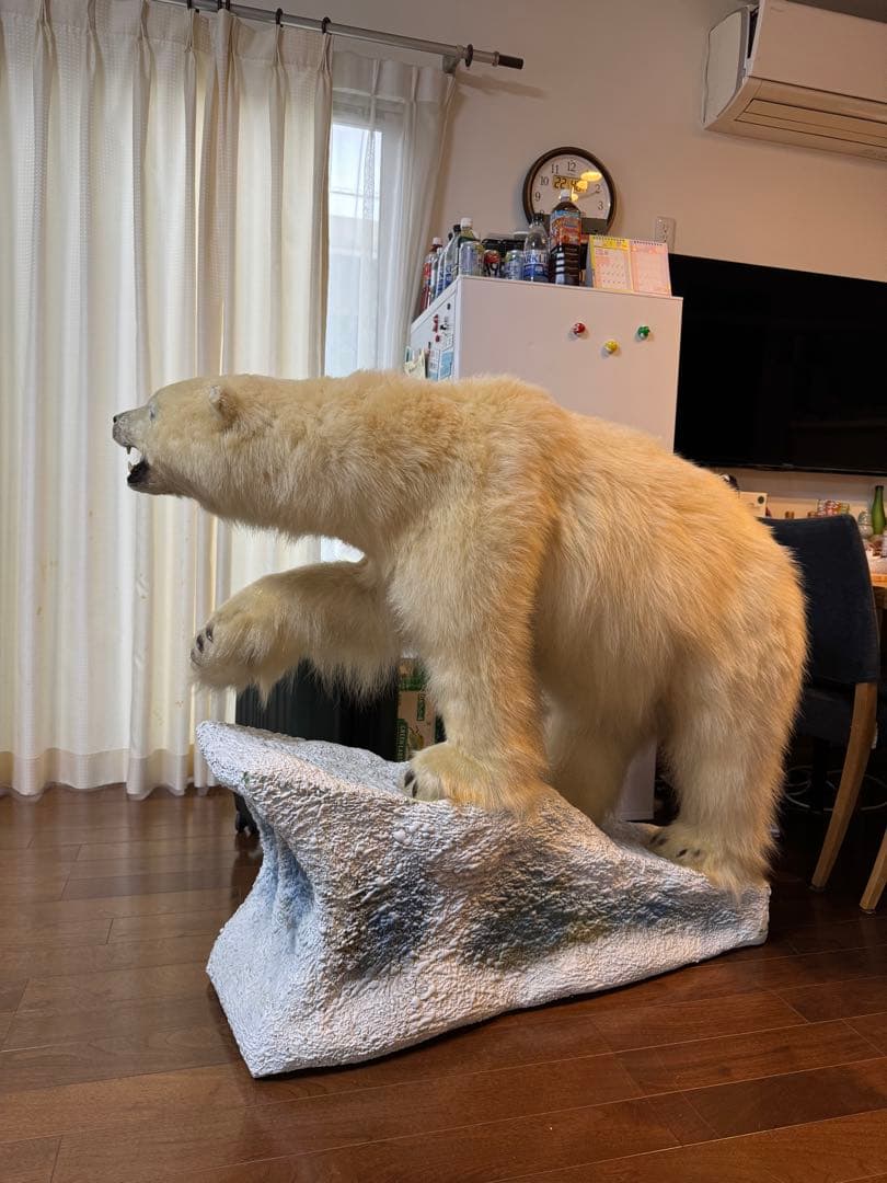 白熊剥製レプリカ