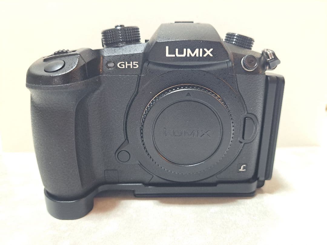 最終価格！LUMIX GH5 ミラーレス一眼 本体　付属品　おまけあり
