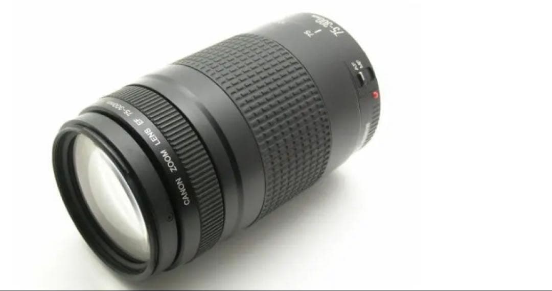 大迫力の300㎜/大望遠レンズ/キヤノン/Canon EF75-300 II