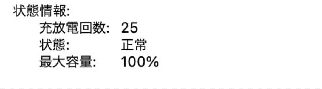 美品　バッテリー100%　充放電回数25回　MacBook Air 13 M2