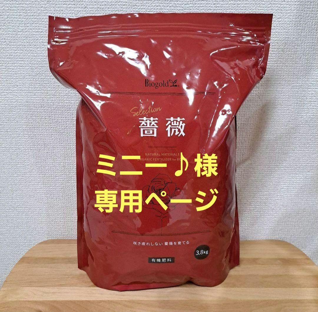 ミニー♪ページ