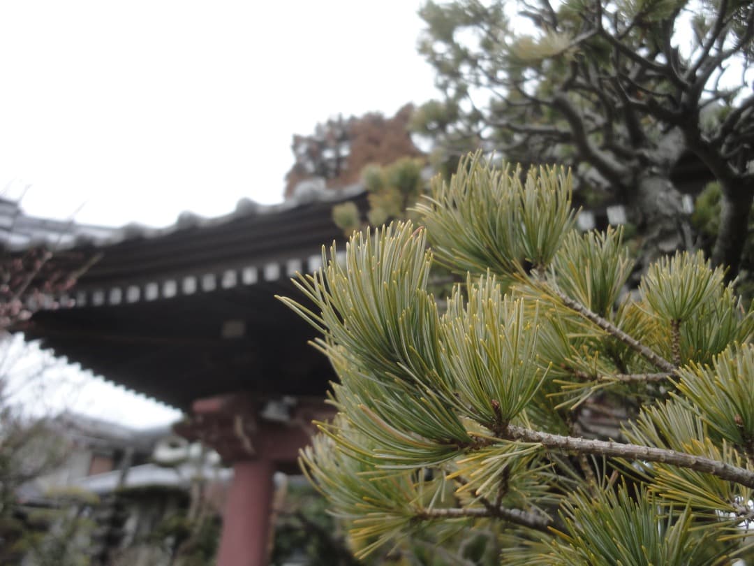 実写⭕️【動作確認済】 SONY CyberShot DSC-W380