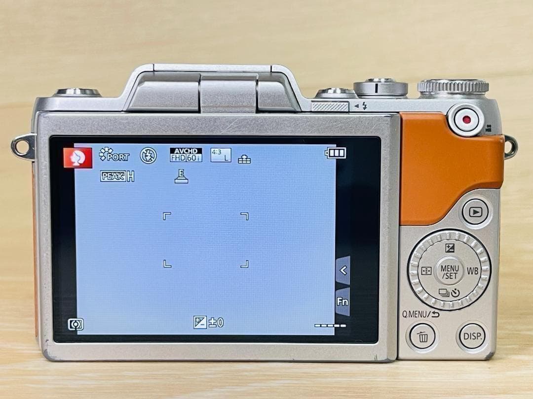 【ショット数7,550回】 美品 Panasonic LUMIX DMC-GF7