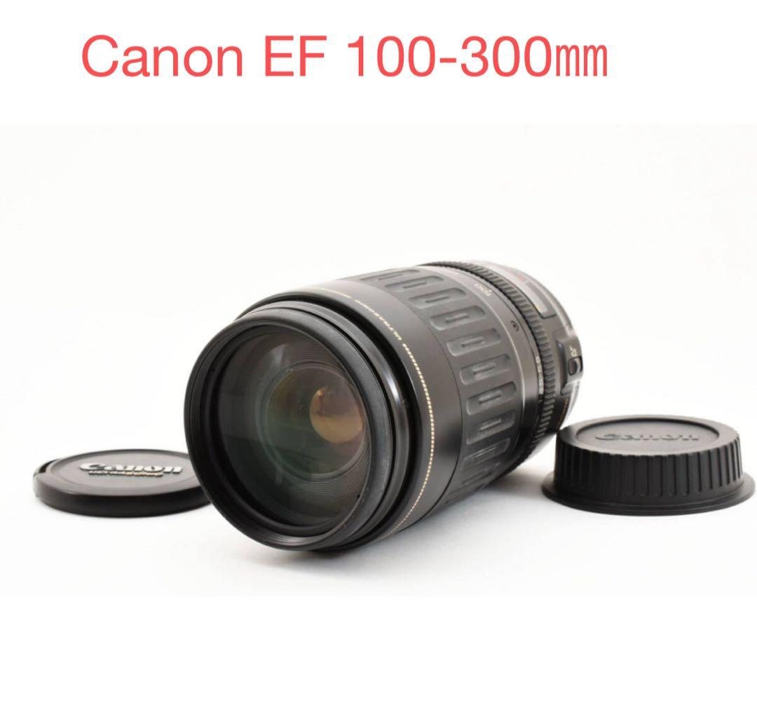 美品☆望遠レンズ☆Canon EF100-300㎜F4.5-5.6 USM☆