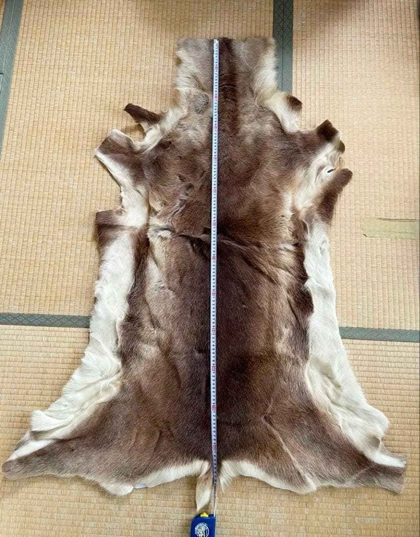 エゾシカ　敷物　毛皮　ラグ