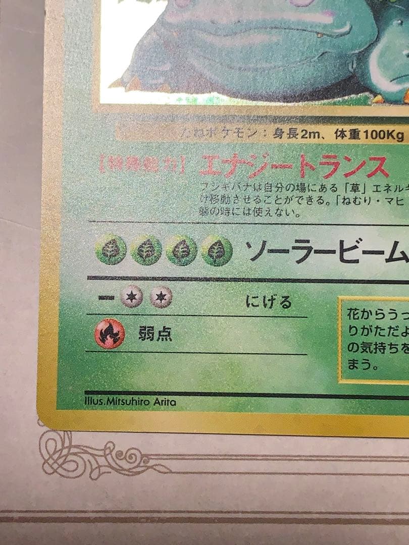 ポケモンカード 初期 フシギバナ キラ No.003 旧裏面 当時物 希少