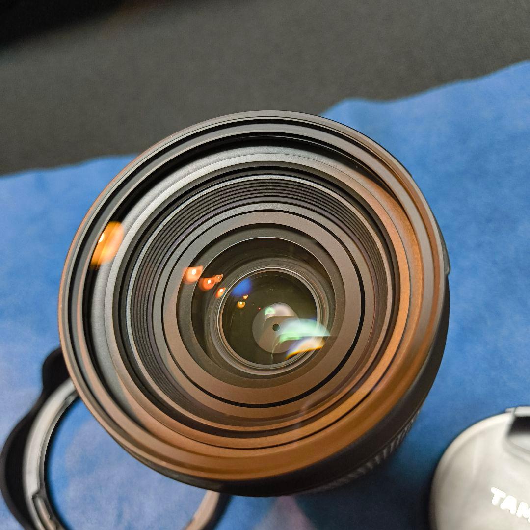 28-200mm F2.8-5.6 Di Ⅲ RXD SONY E