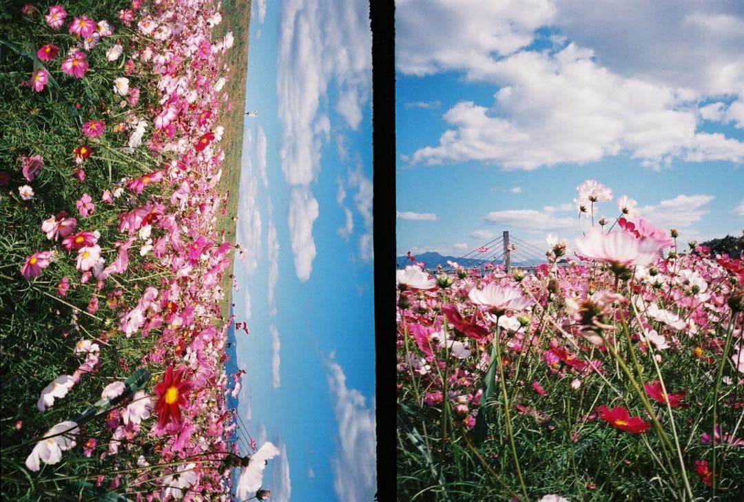 14日まで値下⭐︎完動品⭐︎Ricoh オートハーフSEコンパクトフィルムカメラ