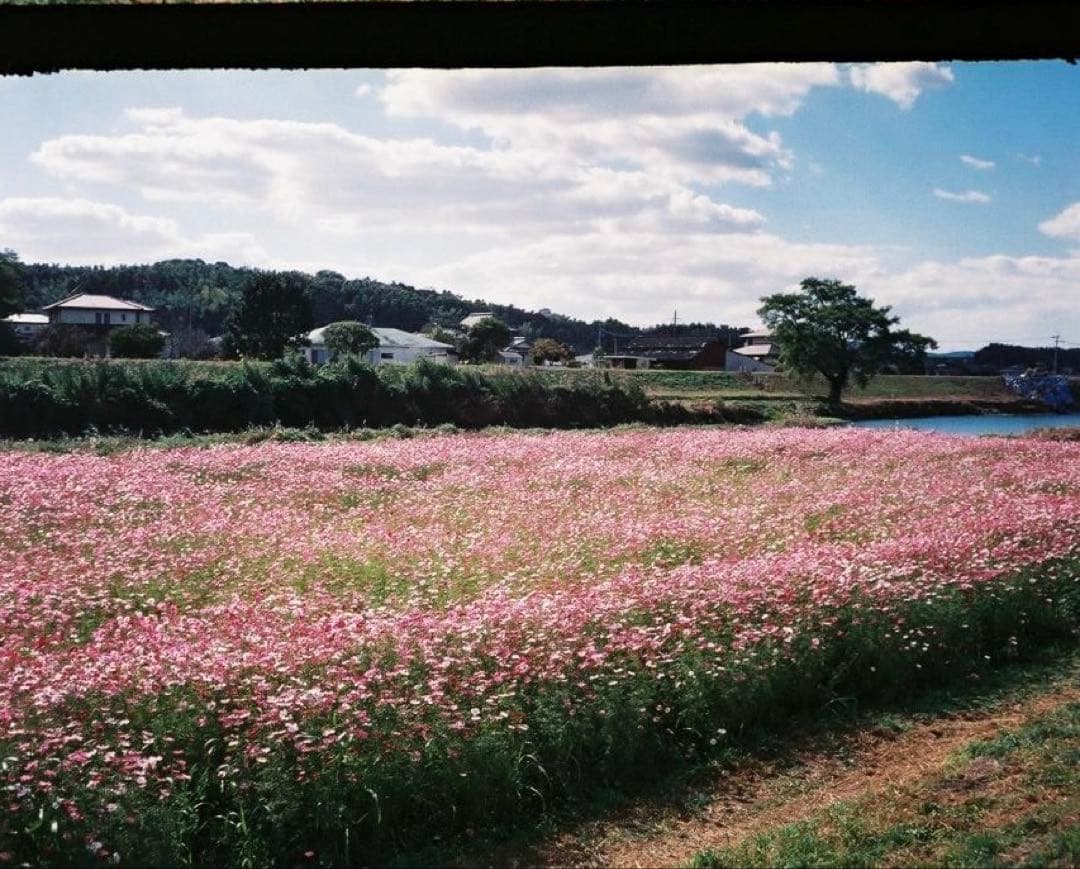 14日まで値下⭐︎完動品⭐︎Ricoh オートハーフSEコンパクトフィルムカメラ