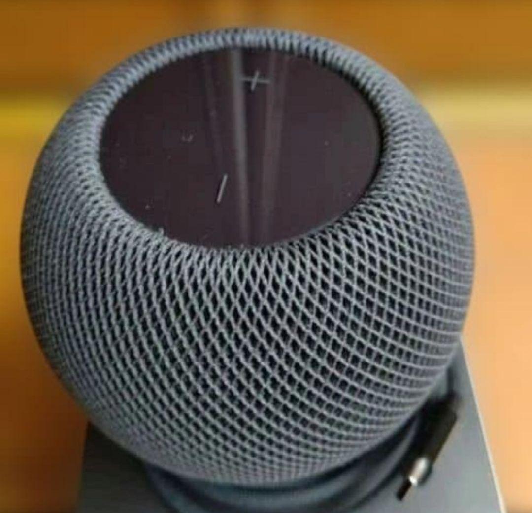 Apple Pod mini ブラック 2個セット 片方未開封品