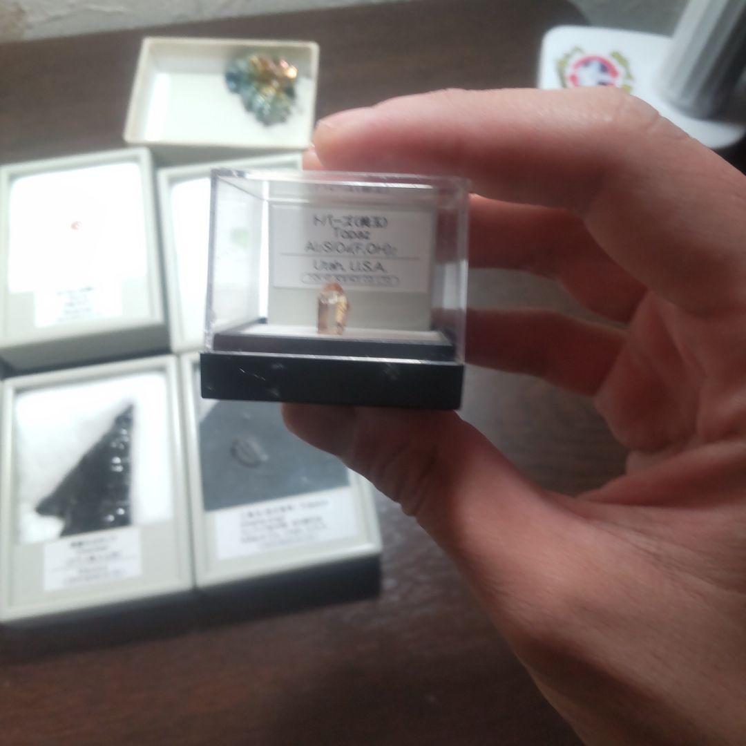 化石・鉱石セット