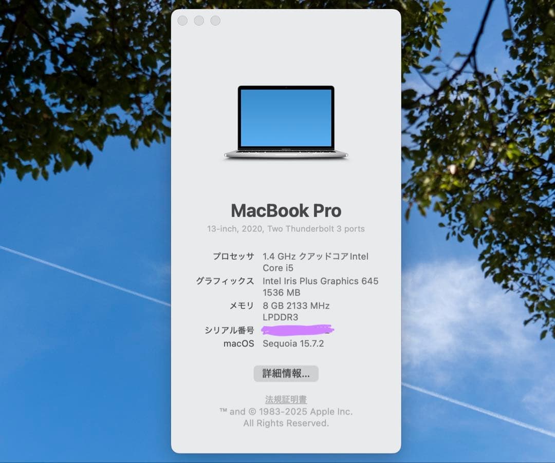 Apple MacBook Pro マウス付き