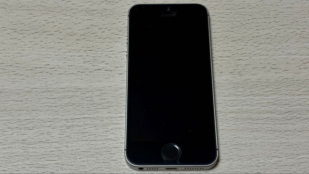 iPhone SE 第1世代 64GB 海外版｜カメラ無音｜バッテリー100％