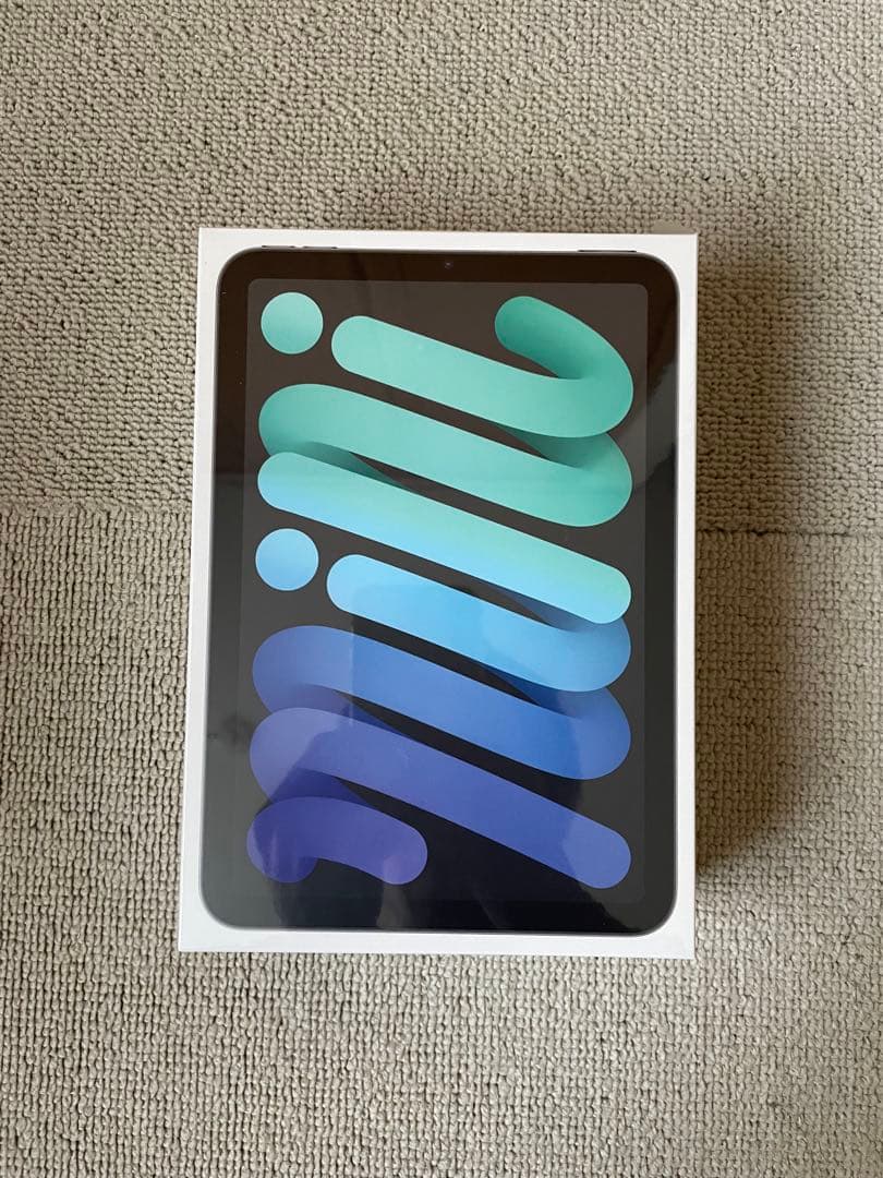Apple iPad mini6 本体 WiFiモデル 欧米版