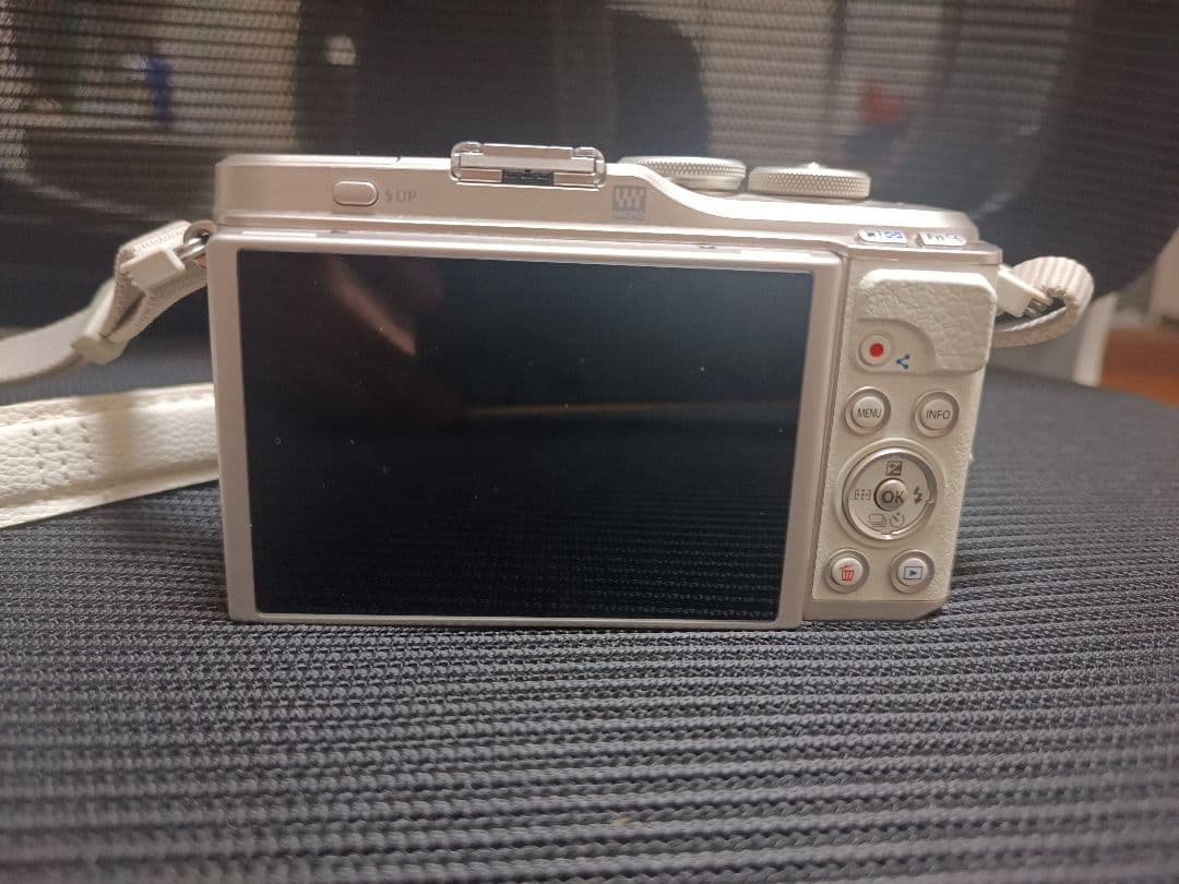 OLYMPUS オリンパス PEN E-PL10 ミラーレス一眼カメラ