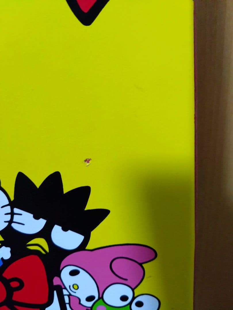 ガールスケートボード✕サンリオ コラボ スケートボードデッキ