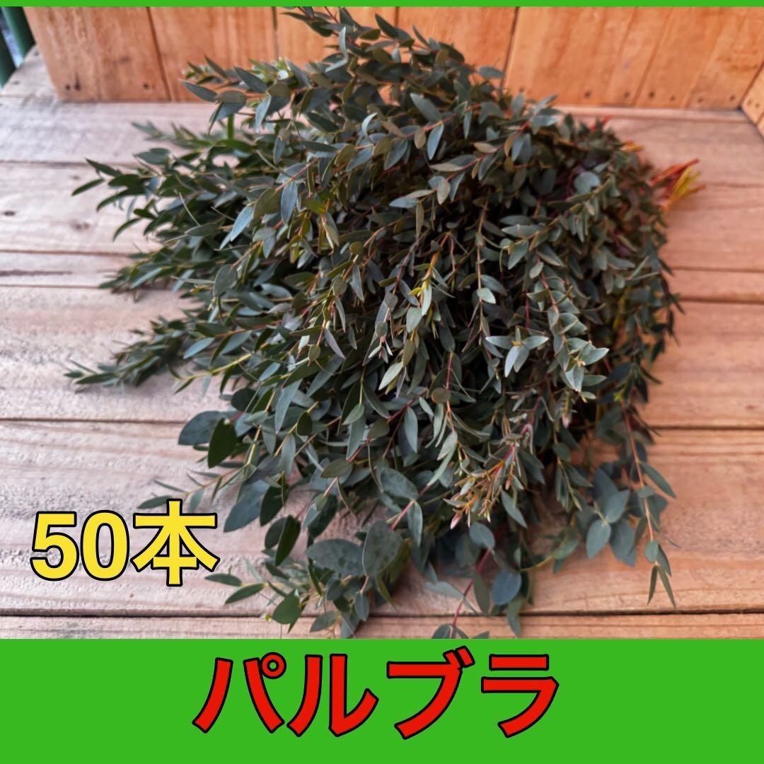 ディアスRAINBOW様 リクエスト 6点 まとめ商品