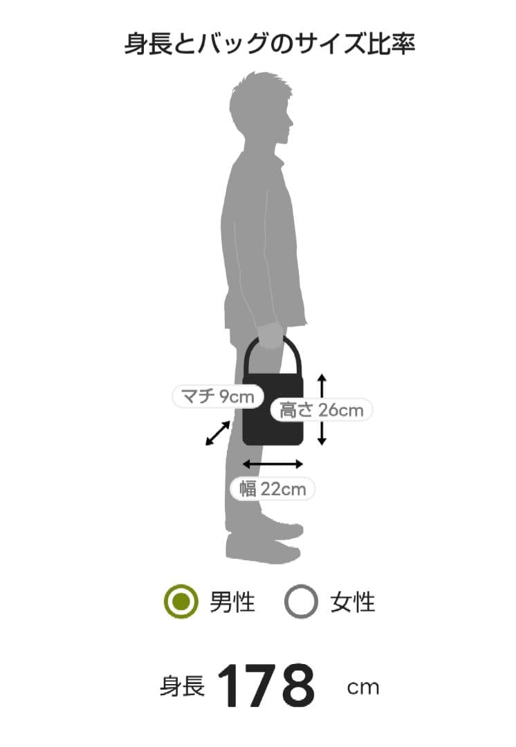 新品未使用 BRIEFING 2WAY PROTECTION TOTE MINI