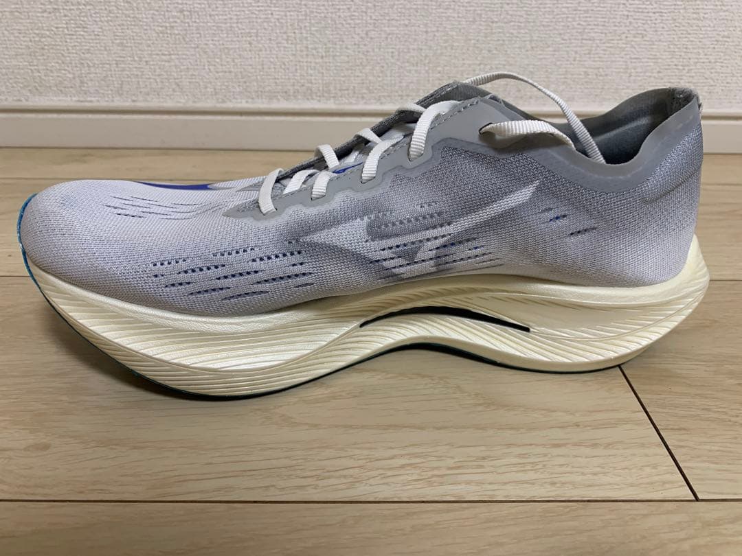 MIZUNO リベリオンプロナチュラル 28.0cm