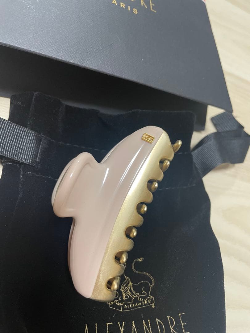 ALEXANDRE DE PARIS VENDEMO M クリップ