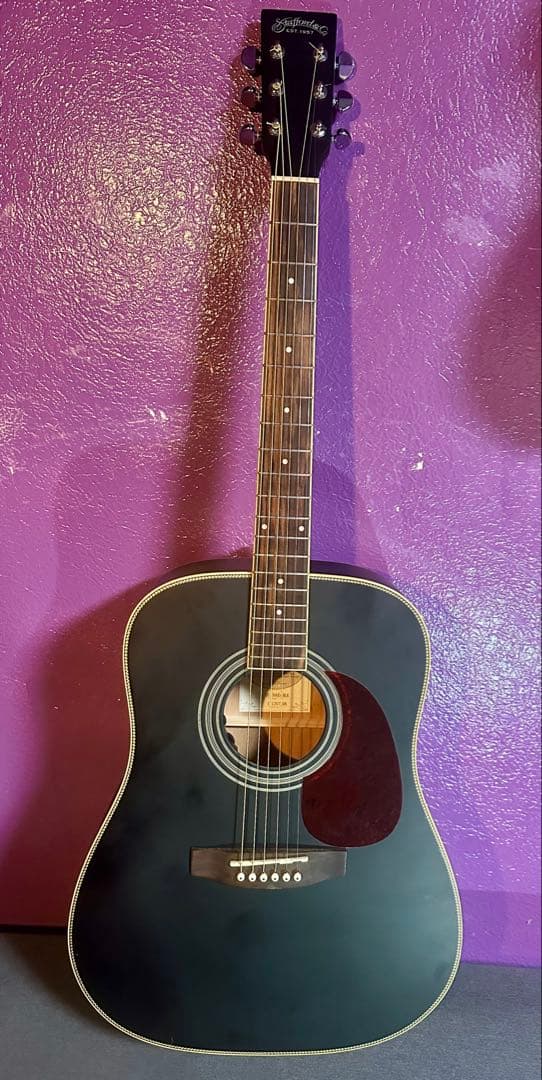 Stafford スタッフォード SF-300D-BLK エレアコギター