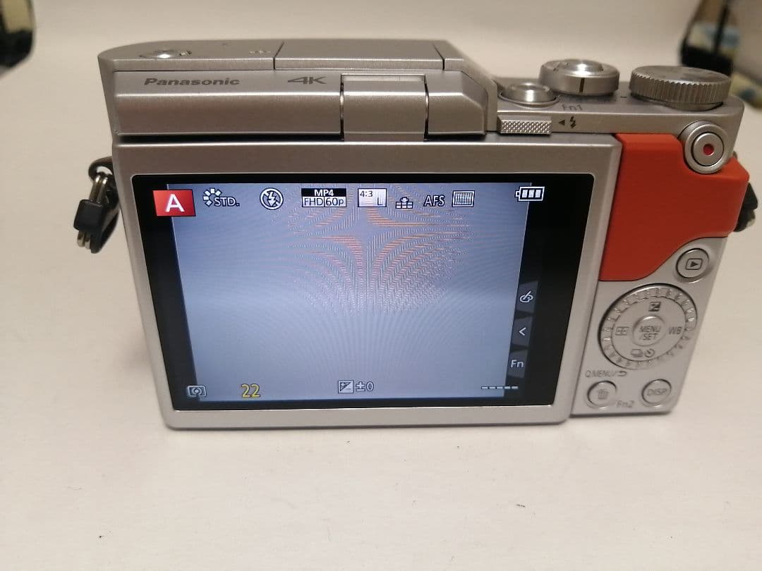 極美品 人気モデル Panasonic LUMIX DC-GF9