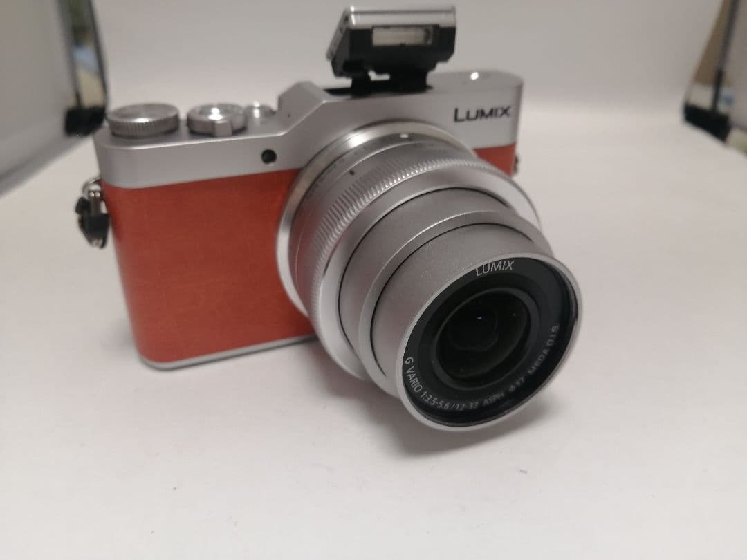 極美品 人気モデル Panasonic LUMIX DC-GF9