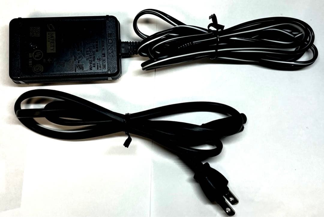 描写力に安心感・安定感!! ソニー 4K ビデオカメラ FDR-AX100