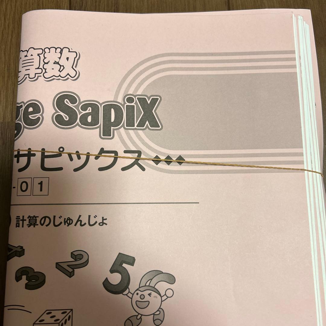 Spring様　デイリーサピックス 310-01-09 他　小学3年