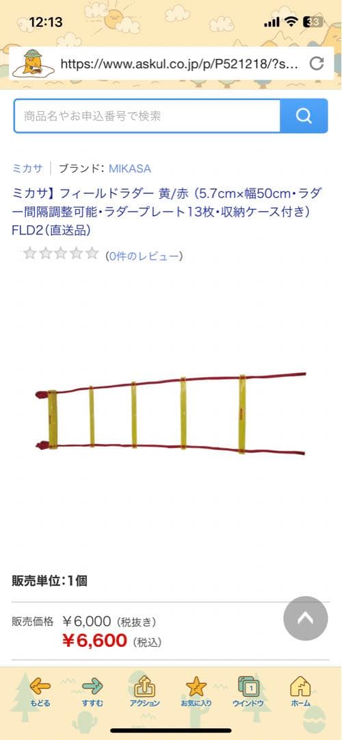 ミカサ　サッカー練習ポール6本&ラダー